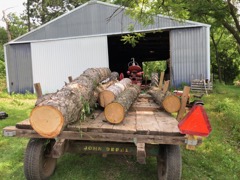 logs 